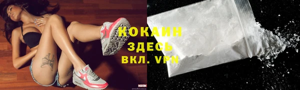прущий лед Алзамай