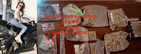 спиды Алексин