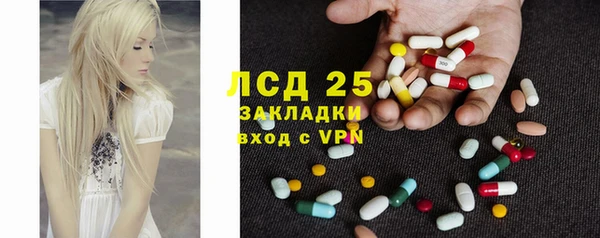 прущий лед Алзамай