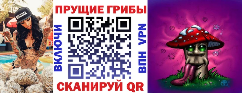 Псилоцибиновые грибы Psilocybine cubensis  Тара 